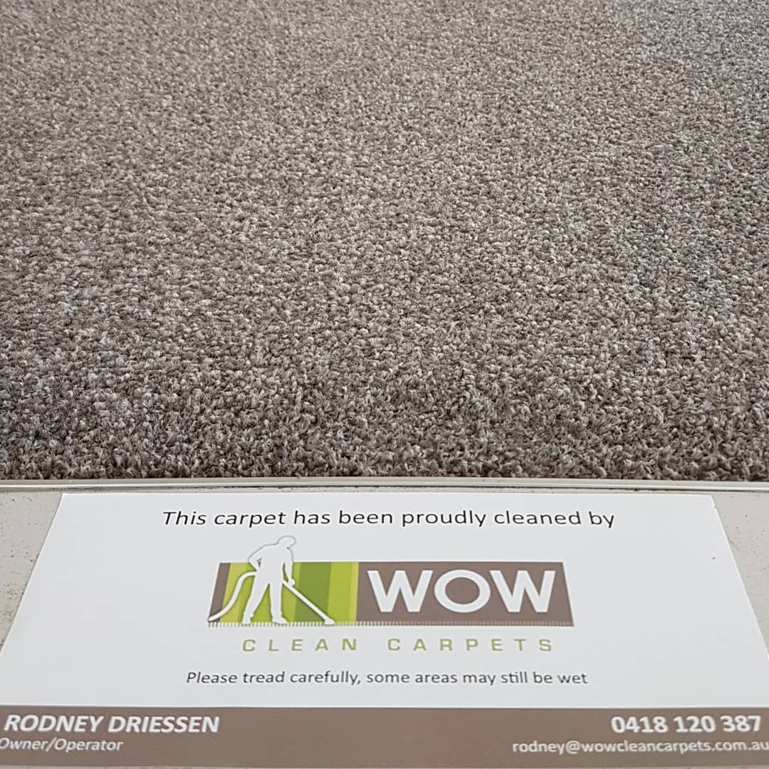 carpet cleaning leopold service