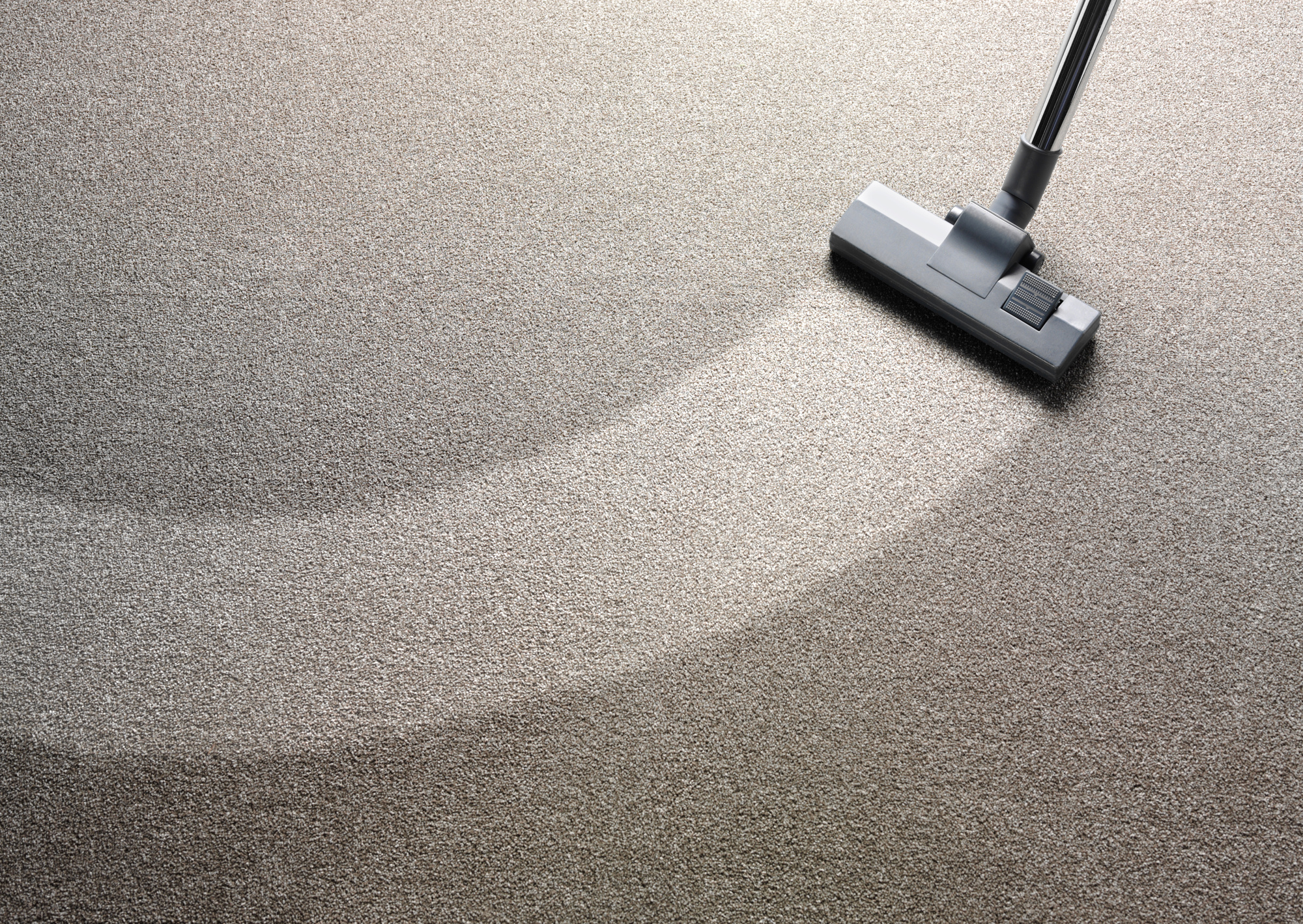 carpet deodorisation
