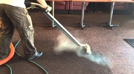 carpet steam cleaning for Geelong businesses